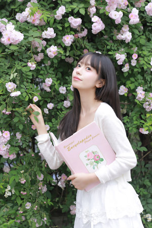 沧元图第二季56集